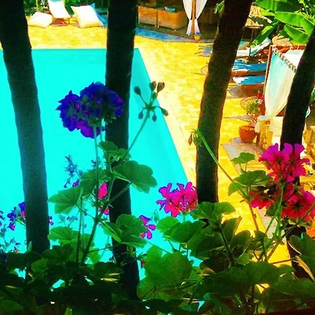 Boutique 3* Sarigerme