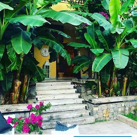 Boutique 3* Sarıgerme