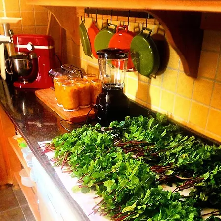 Boutique Hotel Sarigerme