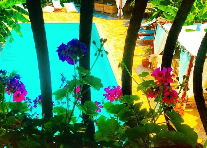 Boutique 3* Sarıgerme