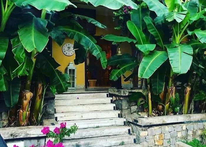 Boutique 3* Sarıgerme